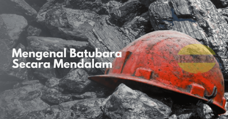 Mengenal Batubara Secara Mendalam